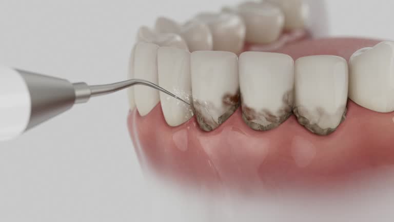 Reliable Dental contractor in Trafalgar, IN by Dentist Open Now